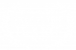 2017 OFFICIAL SELECTION - Fake Flesh Film Fest - 2017 WHT