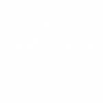 2019 Official SAFILM Selection Laurels_white