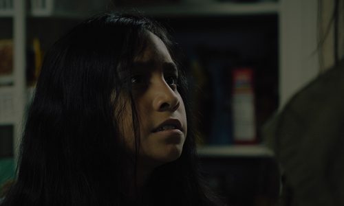 ANM10 Apollo with Artemis kitchen