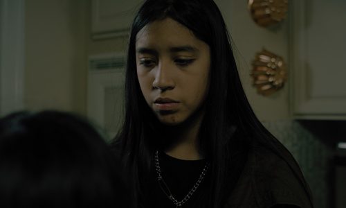 ANM9 Artemis with Apollo kitchen